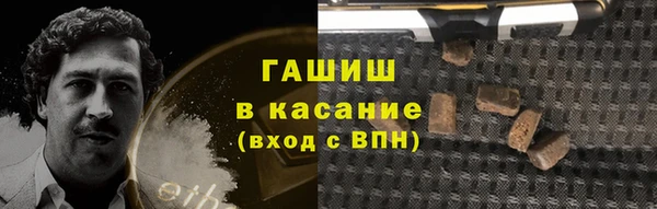 дживик Абинск