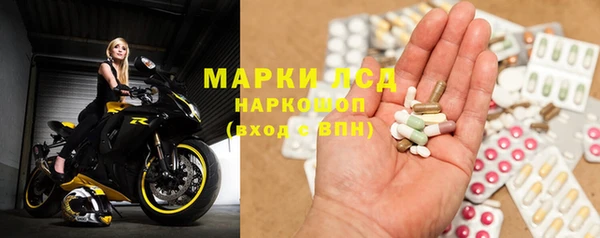 ПСИЛОЦИБИНОВЫЕ ГРИБЫ Абаза