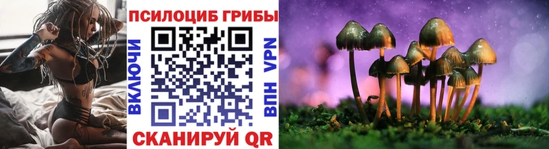 Галлюциногенные грибы прущие грибы Кировград