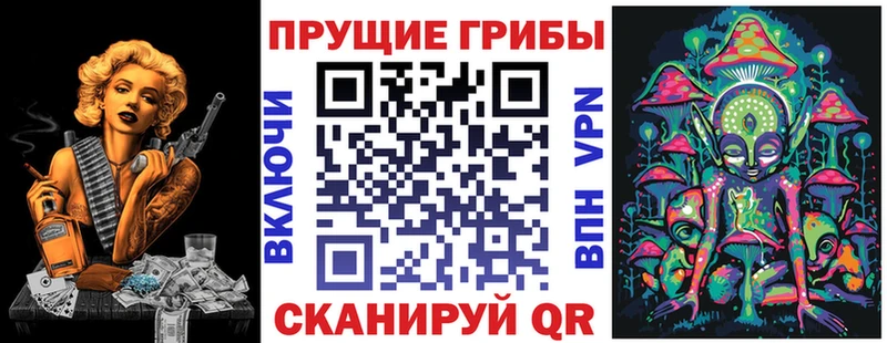 Галлюциногенные грибы Psilocybe  Кировград 